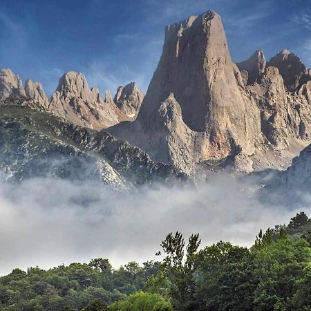 Casa Maribel Cangas De Onis Bagian luar foto